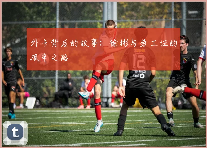 外卡背后的故事：徐彬与劳工证的艰辛之路