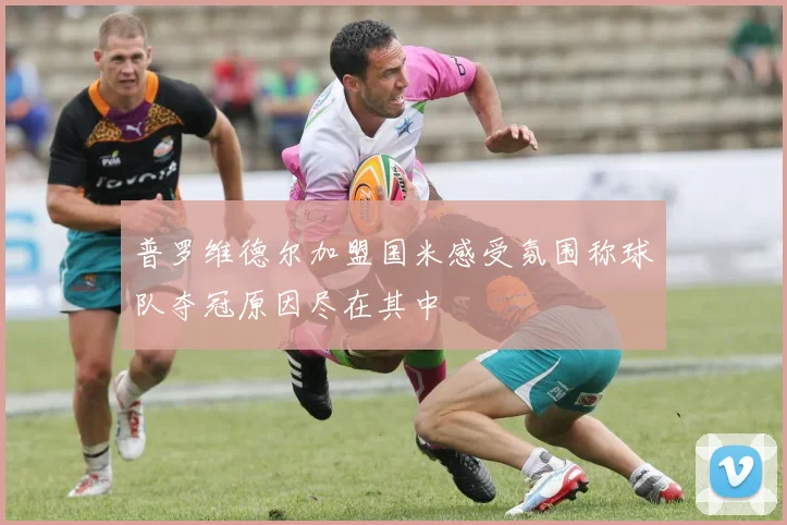普罗维德尔加盟国米感受氛围称球队夺冠原因尽在其中
